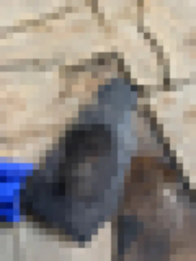 Blue-gloved hand lifting dark flexible material from cracked floor tiles.