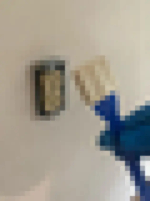 Photograph of gloved hand holds a small soft brush or swab near a painted electrical outlet
